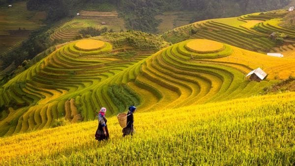 Bijzondere attractie in Vietnam
