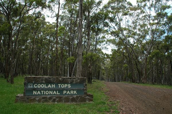 Coolah_Tops