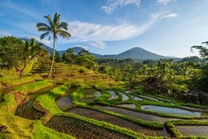 Bali