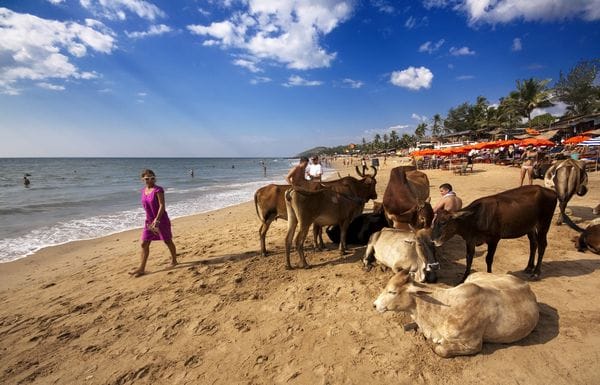 Goa_India