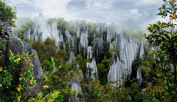 Maleisisch Gunung Mulu
