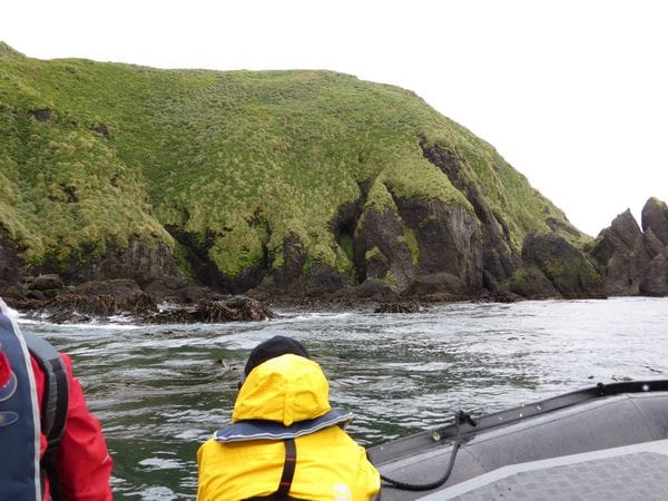 Macquarie Island Marine Park