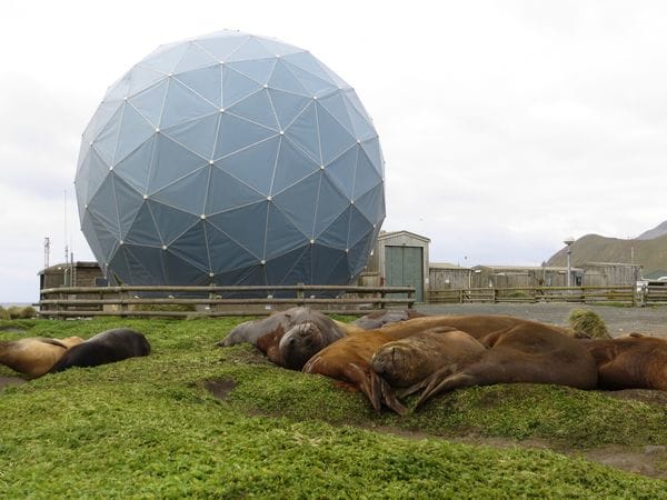 Macquarie Island Marine Park