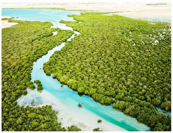 Al Thakira Mangroves