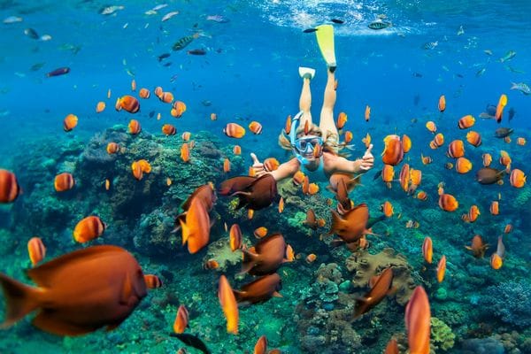 Happy,Family,-,Girl,In,Snorkeling,Mask,Dive,Underwater