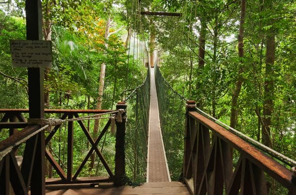 Taman,Negara,,Malaysia,