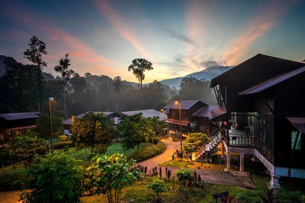 Taman,Negara,,Malaysia,