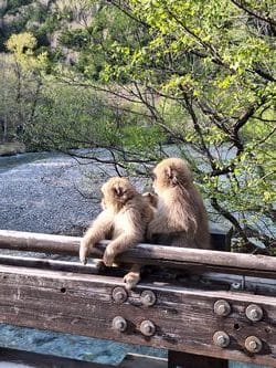 Japan, Japanse Alpen en Kamikochi Vallei - Suzanne Grem