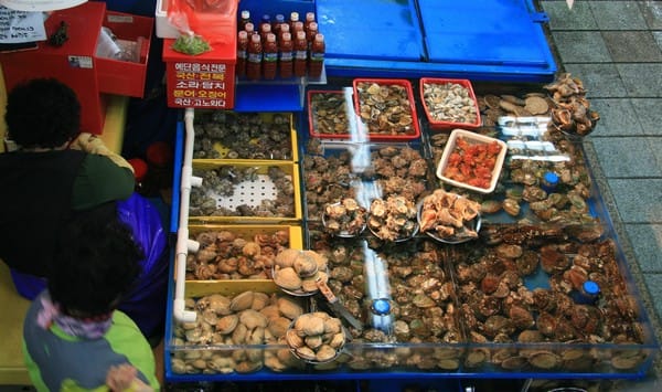 Vismarkt van Busan, Zuid_Korea (Foto Journeylism.nl) (1)