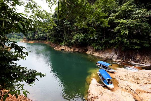 Langs-de-oevers-van-het-meer-Tasik-Kenyir-Maleisie-Foto-Shutterstock