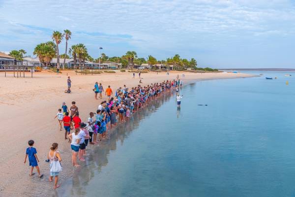 Shark Bay, Australië - Foto Shutterstock_600