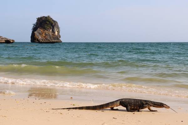 Jurassic Park Thailand