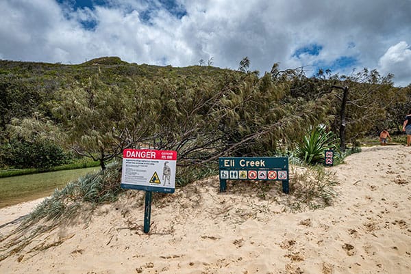 Dingo-aanval in K’gari