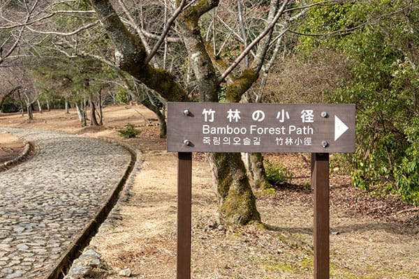 Japans bamboebos Arashiyama